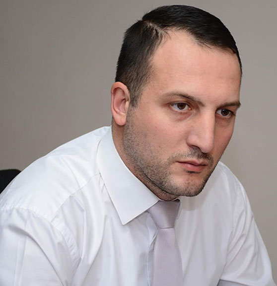 Դավիթ Կարապետյան Diplomat, International expert, Political scientist
